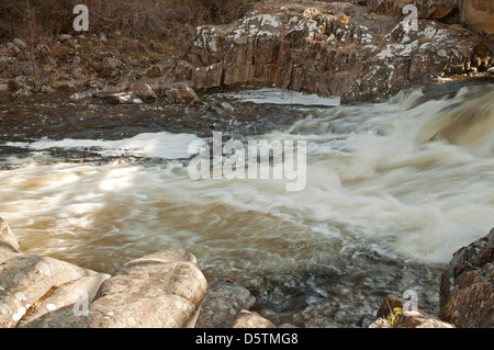 Le cascate di cane Foto Stock