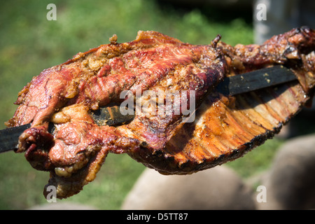 La tostatura Il maiale allo spiedo nella fattoria di Rancagua, Cile Foto Stock