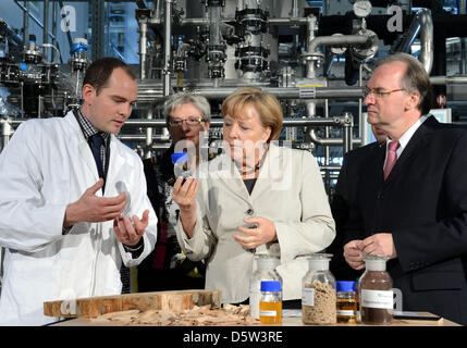 Commerciante di legname Moritz Leschinsky (L) spiega il processo di produzione delle lignocellulose al Cancelliere tedesco Angela Merkel (2-L) e Sassonia-anhalt Premier Reiner Haseloff davanti a un biorefinery presso il nuovo centro Fraunhofer per processi Chemical-Biotechnological (CBP) di Leuna, Germania, 02 ottobre 2012. Gli scienziati del centro ricerche su come risorse rinnovabili potrebbero essere utilizzati mo Foto Stock