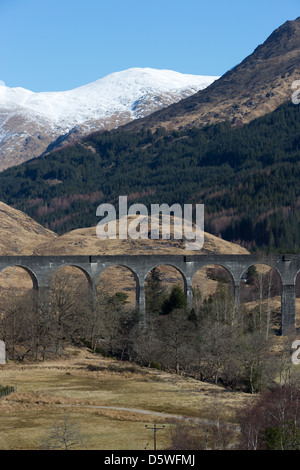 Il viadotto ferroviario a Glennfinnan sulla Fort William per linea Malaig, alcune volte utilizzato dalla scuola di Hogwarts Express Foto Stock