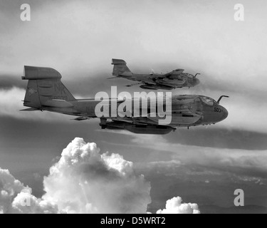 Due EA-6B Prowler della marina statunitense del VAQ-139 "Cougars" volano in formazione durante una missione di addestramento a sostegno dell'operazione Iraqi Freedom. Il ruolo dell'EA-6B è quello di proteggere le unità di superficie e gli aerei bloccando i radar nemici e i sistemi di comunicazione, garantendo la sicurezza delle forze statunitensi durante le operazioni. Foto Stock