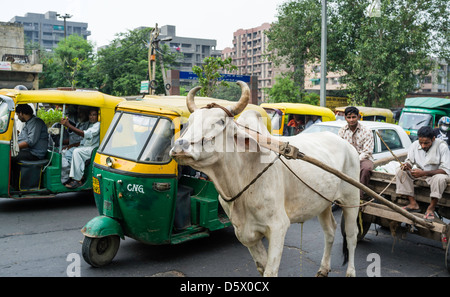 Carrello di giovenco intrappolati in un ingorgo con risciò motorizzati, auto, ecc su una strada trafficata di Delhi, India. Foto Stock