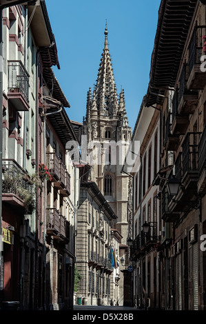 Cattedrale di San Salvador, vista dal Mon street, Oviedo, Asturias, Spagna, Europa Foto Stock