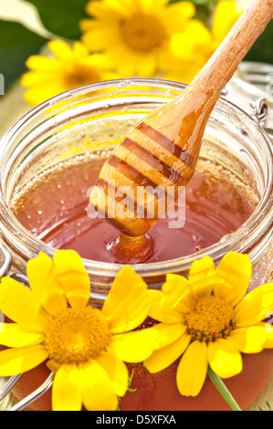 Il miele nel vasetto di vetro e fiori di colore giallo Foto Stock