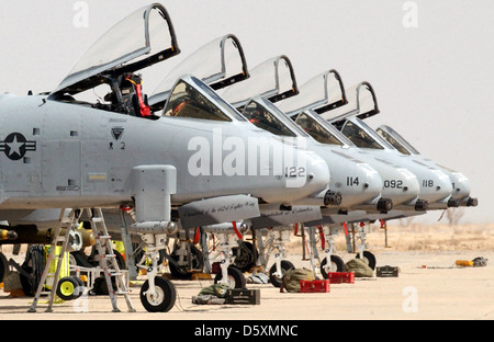 Il Fairchild Republic A-10A Thunderbolt II è un aereo da attacco al suolo progettato per missioni di supporto aereo ravvicinato. È noto per la sua durata ed efficacia contro veicoli corazzati, carri armati e fortificazioni. Foto Stock