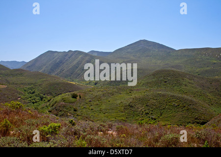 Montaña de Oro del Parco Statale di San Luis Obispo County, California, Stati Uniti d'America Foto Stock