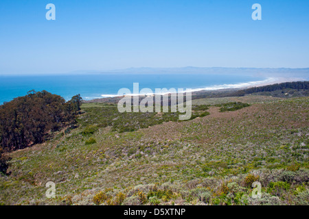 Montaña de Oro del Parco Statale di San Luis Obispo County, California, Stati Uniti d'America Foto Stock