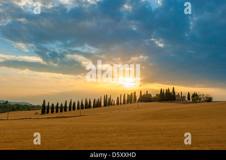 Tramonto sulla Toscana Foto Stock