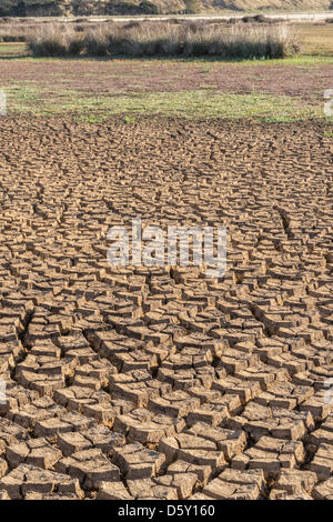 Il lago di Ellesmere, vicino a Christchurch, Nuova Zelanda. Il 10 aprile 2013. Aumentare le aree di lakebed sono esposte e asciugatura a lago Ellesmere, vicino a Christchurch, come la lunga siccità continua in Nuova Zelanda. A differenza di molte aree dell'Isola del nord, Canterbury non è ancora stata ufficialmente dichiarata nei periodi di siccità. Credito: ScotStock / Alamy Live News Foto Stock