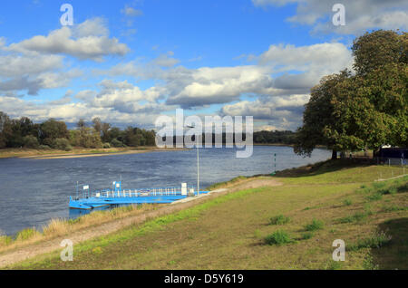 L'elba scorre attraverso un pascolo e il passato di Kornhaus pier in Dessau-Rosslau, Germania, 27 settembre 2012. Foto: Jens Wolf Foto Stock