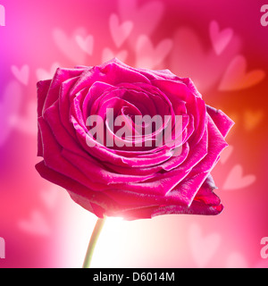 Il giorno di San Valentino in rosa con cuori Foto Stock