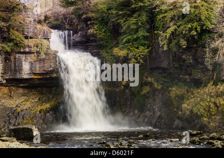 Thornton vigore a Ingleton nel Yorkshire Dales Foto Stock