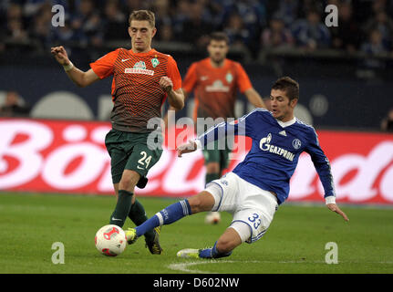 Schalke's Roman Neustädter vies per la palla con Brema Nils Petersen durante la Bundesliga tedesca match tra FC Schalke 04 e SV Werder Bremen a Veltins-Arena a Gelsenkirchen, Germania, 10 novembre 2012. Foto: Daniel Naupold (ATTENZIONE: embargo condizioni! Il DFL permette l'ulteriore utilizzazione di fino a 15 foto (solo n. sequntial immagini o video-simili serie di p Foto Stock