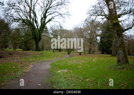 Motivi t Blarney Castle, Paese Cork, Irlanda Foto Stock