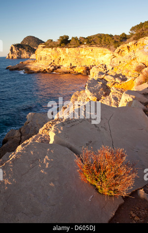 Punta de Sa Galera cape vicino a Sant Antoni de Portmany, Ibiza, Illes Balears, Spagna Foto Stock