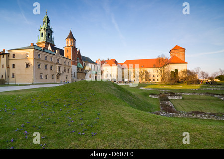 Vista della bellissima Saint Stanislas Cattedrale al castello di Wawel, Cracovia, visto da dietro un arco gotico Foto Stock