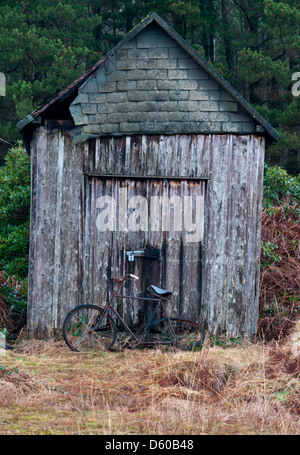 Rusty bike by shed porte Foto Stock