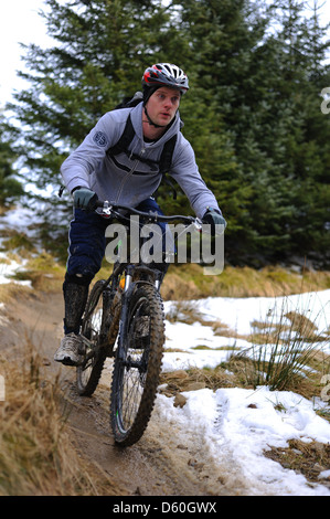 Mountain Biker , Gisburn Forest Foto Stock