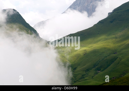 Gli animali nel loro pascolo estivo nella Vallée du Vallentin, Pirenei vicino a Laruns, nel sud della Francia Foto Stock