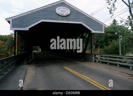 Elk281-1438 New Hampshire, North Conway, Saco fiume ponte coperto, 1890 Foto Stock