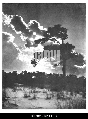 Una leggenda delle dune di sabbia, Cape Henry, Virginia (1912) Foto Stock