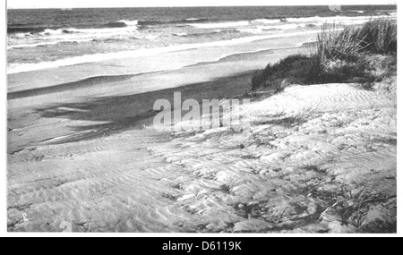 Una leggenda delle dune di sabbia, Cape Henry, Virginia (1912) Foto Stock