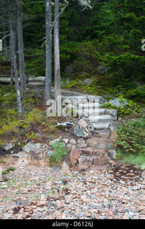 Pietra e passaggi di registro che conduce dalla spiaggia nel bosco; nave Porto Sentiero Natura, Parco Nazionale di Acadia, Maine Foto Stock