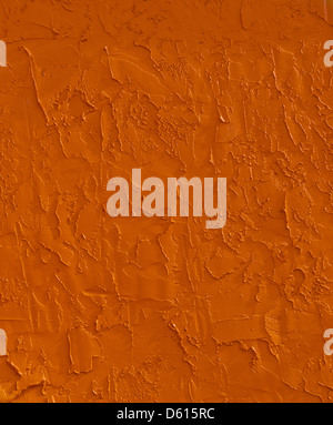 In prossimità della parete di adobe in Florida, Stati Uniti d'America Foto Stock