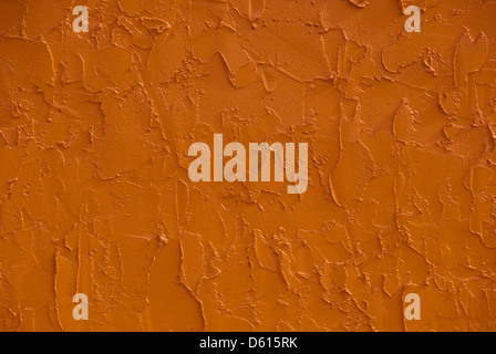 In prossimità della parete di adobe in Florida, Stati Uniti d'America Foto Stock