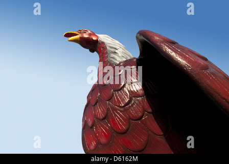 Granato gigante e il Gallo Nero si trova all'esterno del fungo maturo a Columbia nella Carolina del Sud, STATI UNITI D'AMERICA Foto Stock