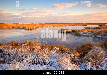 Tramonto su swamp in inverno Foto Stock