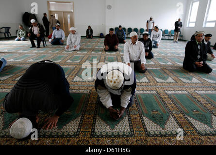 La preghiera del venerdì (Jumu'ah) avviene in corrispondenza di Khadija moschea a Berlino, Germania, 20 aprile 2012. Foto: Florian Schuh Foto Stock