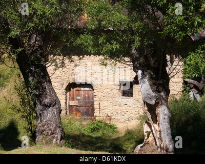 Les pres piani,Saint Sorlin,Haute Savoie,Francia Foto Stock