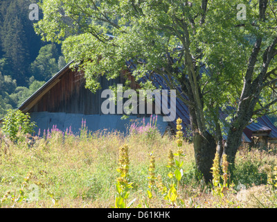 Les pres piani,Saint Sorlin,Haute Savoie,Francia Foto Stock