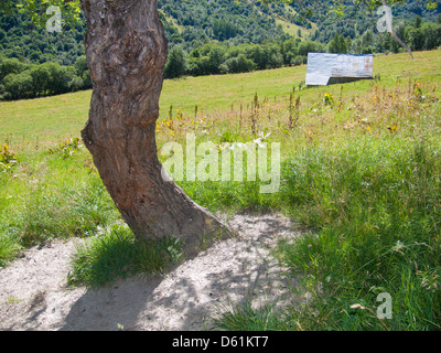 Les pres piani,Saint Sorlin,Haute Savoie,Francia Foto Stock