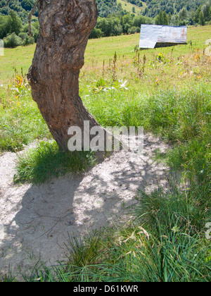 Les pres piani,Saint Sorlin,Haute Savoie,Francia Foto Stock