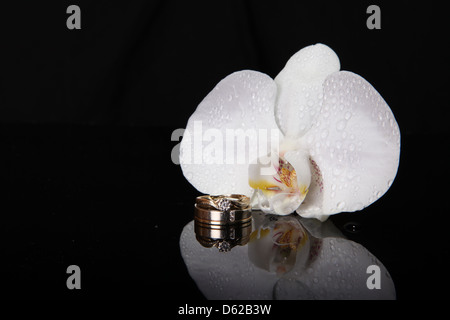 Impegno, Wedding, anello, orchidea, fiore, riflessione, nero, sfondo Foto Stock