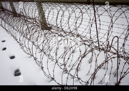 Bobine di arrugginimento Filo spinato in inverno la neve formano una recinzione perimetrale in quella nazista e quella sovietica campo di concentramento di Sachsenhausen, ora conosciuto come il quartiere Sachsenhausen Memorial e Museo. Sachsenhausen è stato un campo di concentramento nazista in Oranienburg, 35 chilometri (22 miglia) a nord di Berlino, Germania, utilizzato principalmente per i prigionieri politici dal 1936 alla fine del terzo Reich nel maggio 1945. (Più didascalia nella descrizione). Foto Stock