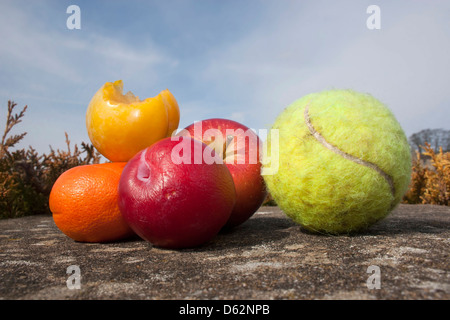 Frutta e una palla da tennis Foto Stock