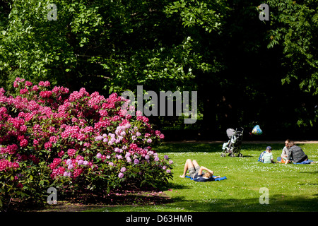 Persone relax su erba nel parco delle Terme Reali Foto Stock