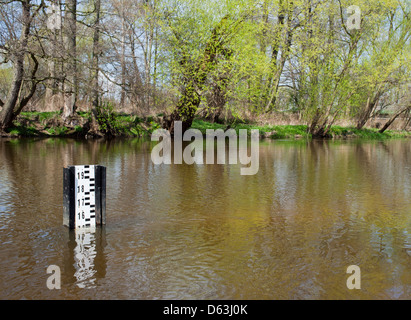 Acqua di esondazione su profondità indicatore marcatore in piccolo fiume Foto Stock