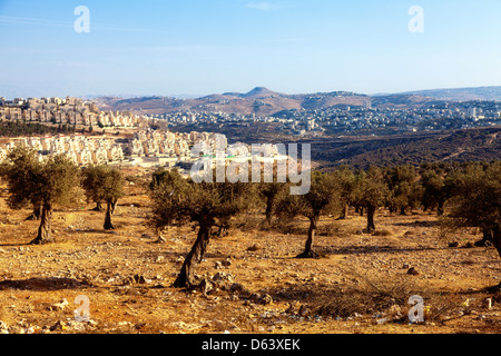 Betlemme, Israele Foto Stock