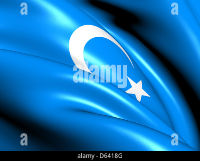 Bandiera del Turkestan orientale. Close up. Foto Stock