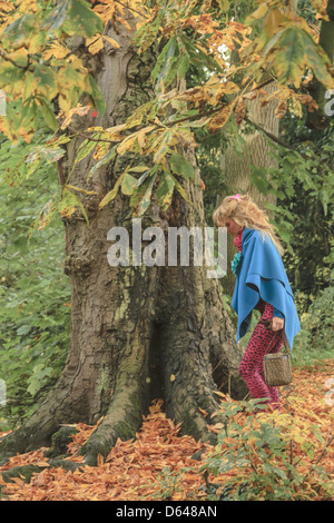 Ragazza camminare nei boschi Suffolk REGNO UNITO Foto Stock