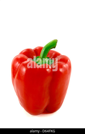 Big Red paprica isolati su sfondo bianco Foto Stock