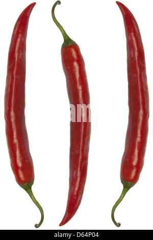 Peperoncino rosso su sfondo bianco Foto Stock