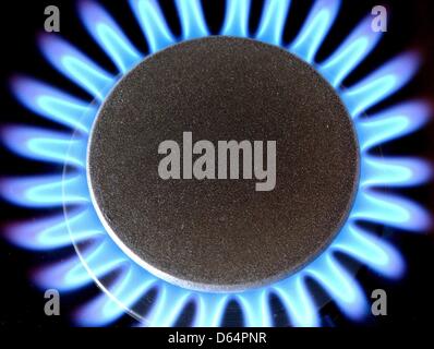 FILE - un file foto datata 02 marzo 2003 mostra una fiamma a gas su un forno in Sieversdorf, Germania. Secondo una survy della società energetica ExxonMobil pubblicato il 01 giugno 2012, in 20 anni il gas naturale sarà la più importante fonte di energia in Germania. Dal 2030 il gas naturale sostituirà l'olio minerale e contribuiscono pertanto all'energia turnaround. Foto: Patrick Pleul Foto Stock