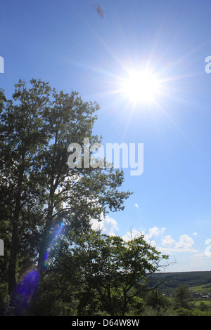 Questa immagine cattura un cielo azzurro limpido con il sole che splende attraverso le nuvole, accompagnato da alberi. La foto raffigura una giornata luminosa e soleggiata, offrendo una scena naturale serena e tranquilla. L'immagine è di dominio pubblico e può essere utilizzata gratuitamente. Foto Stock