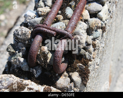 Questa immagine presenta una struttura in cemento armato con barre di ferro arrugginite che evidenziano gli effetti dell'invecchiamento e dell'esposizione ambientale sui materiali da costruzione. Foto Stock