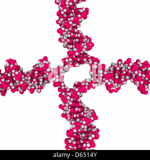 DNA di giunzione di Holliday, modello molecolare Foto Stock